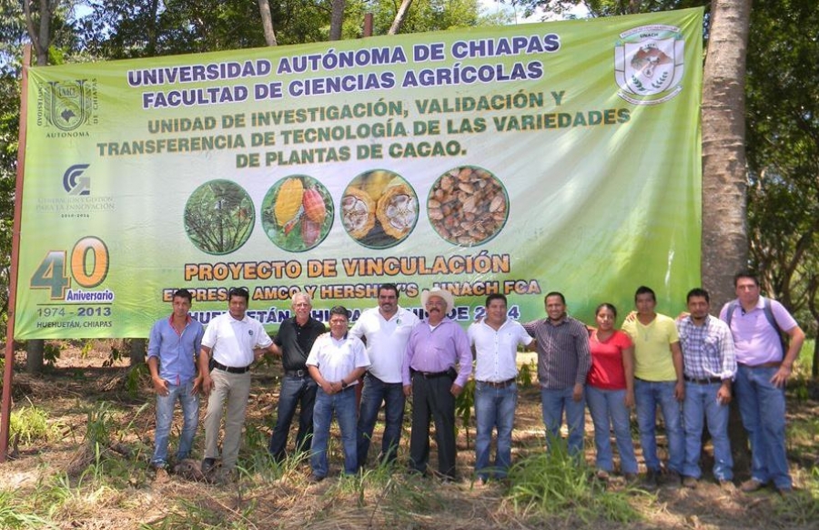 Donan empresas privadas plantas de cacao de alto rendimiento a la UNACH para estudio y mejora de la producción