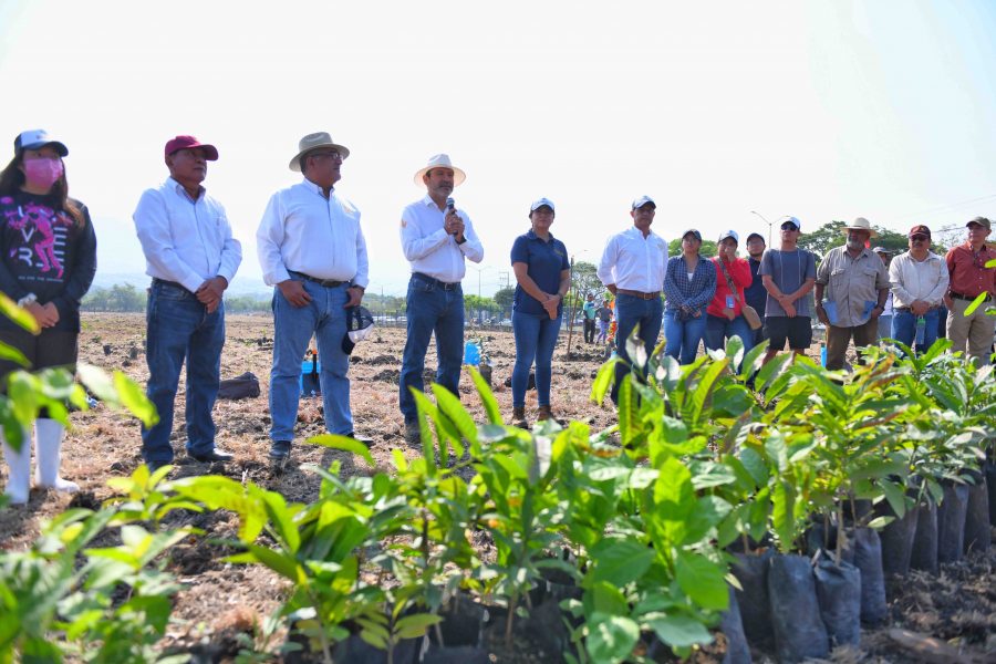 Siembra comunidad UNACH más de 2 mil plantas