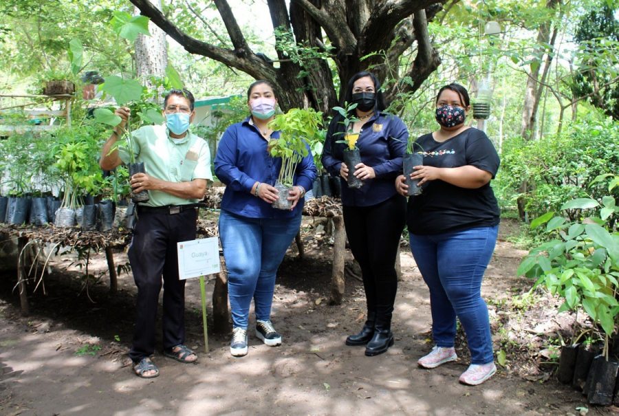 Reforestará UNACH  el circuito universitario