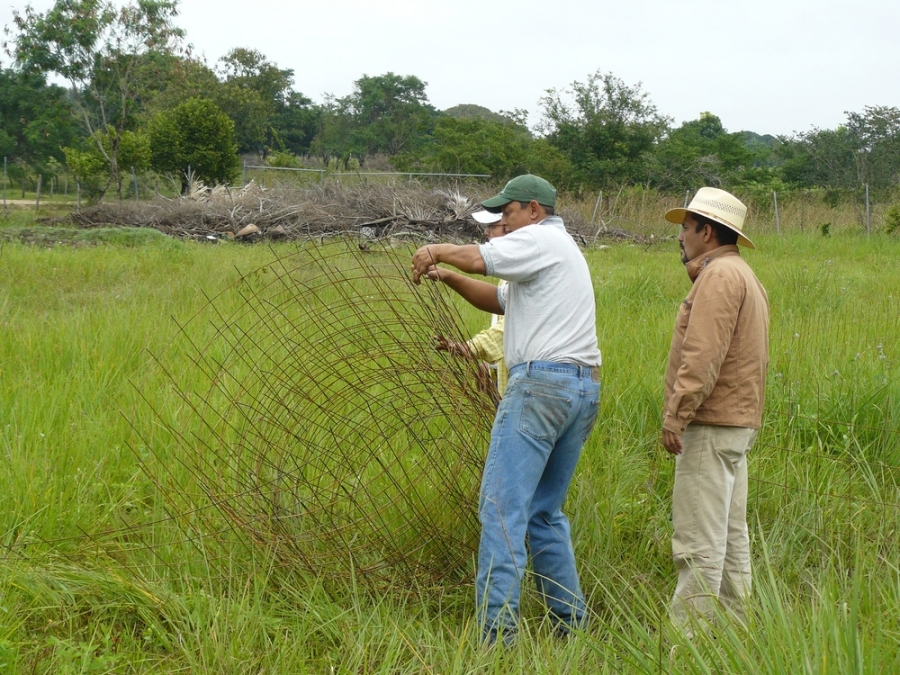 Ofrece UNACH capacitación y apoyo tecnológico a productores agropecuarios