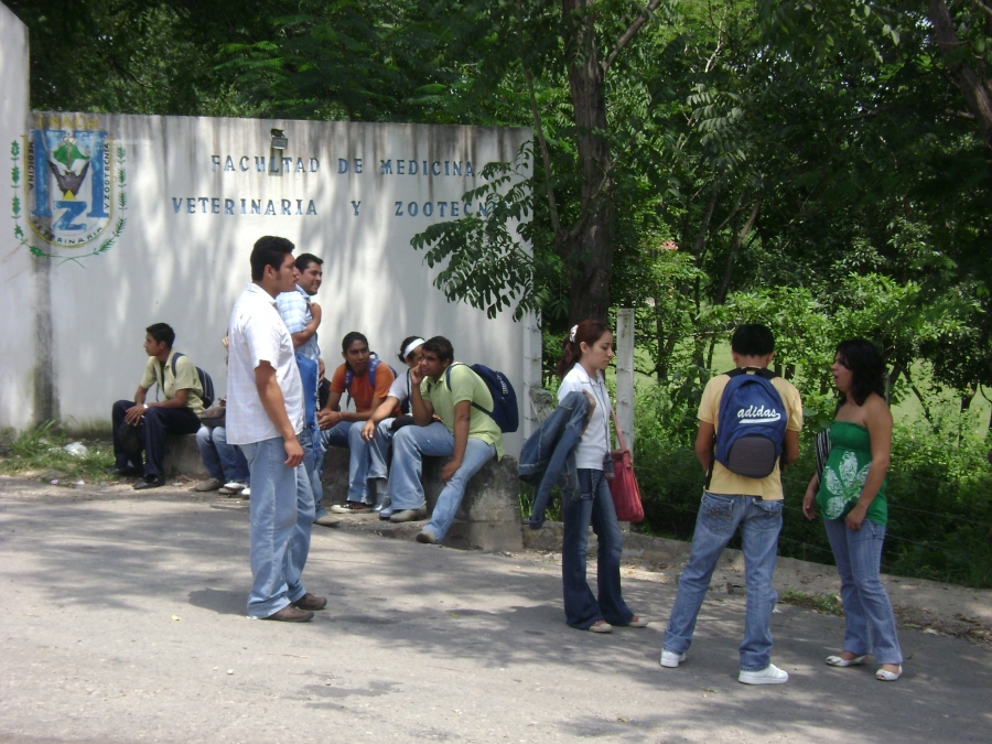 Promueve UNACH curso de verano sobre cuidado del medio ambiente entre los infantes