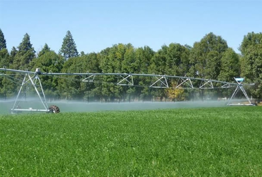 Abre UNACH convocatoria para cursar la Maestría en Ciencias en Producción Agropecuaria Tropical