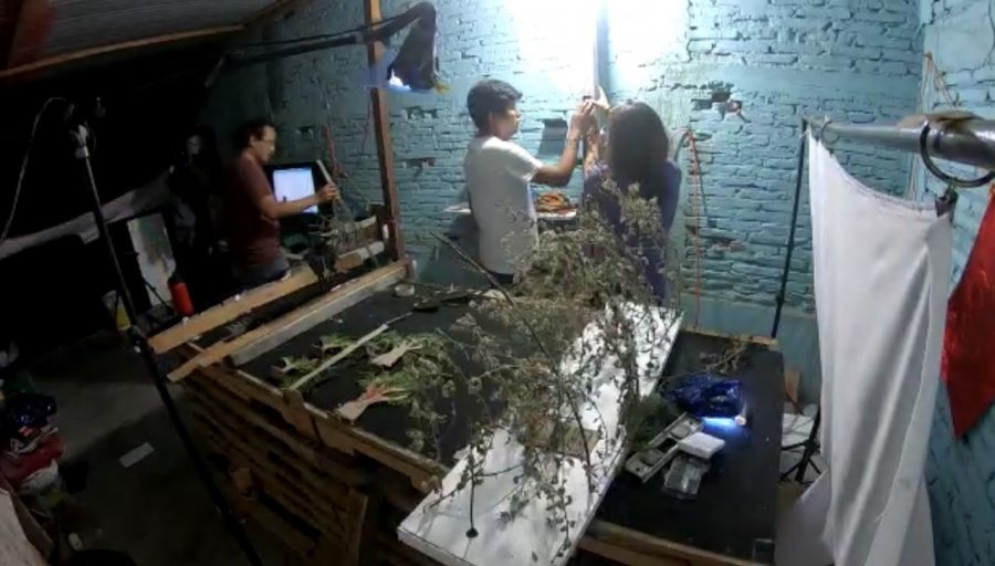 Ganan alumnos de la UNACH los tres primeros lugares del Concurso Estatal de Videos Animados “Prevención de Incendios”