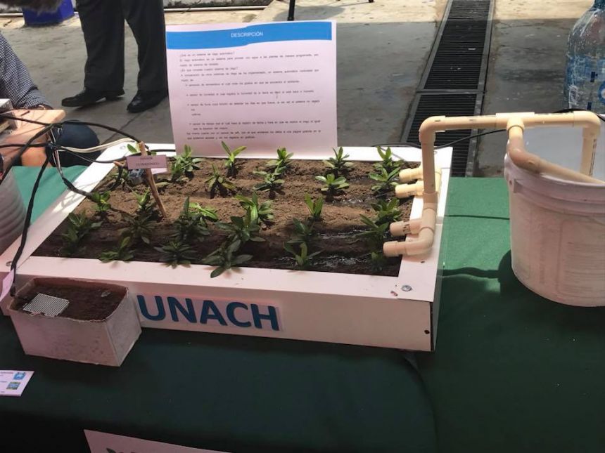 En Tapachula Estudiantes de la UNACH obtienen 1er. lugar en Feria de la Ciencia