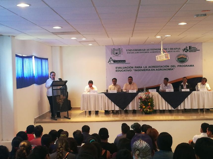 Avanza  UNACH con el proceso de certificación nacional de sus programas educativos