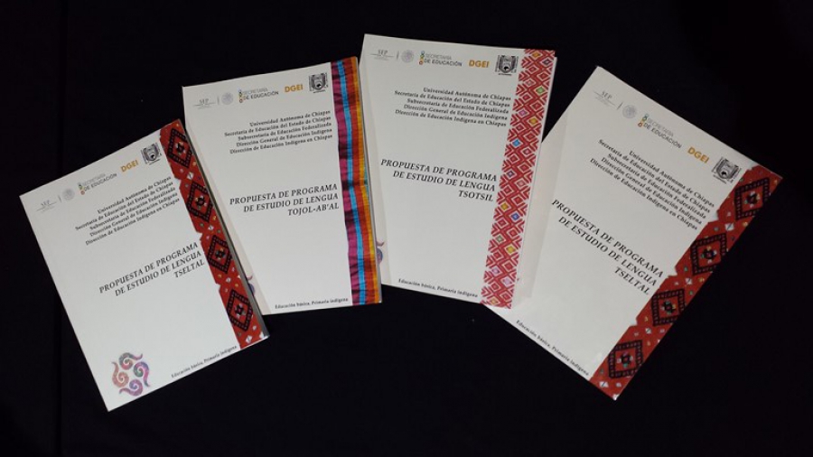Entrega UNACH Propuestas de Programas de Estudios para la Enseñanza de las Lenguas Maternas en la Educación Primaria