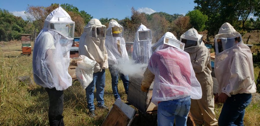 En Huehuetán  Participan docentes y alumnos de la UNACH en el Proyecto “Mantenimiento del Apiario en la Facultad de Ciencias Agrícolas”