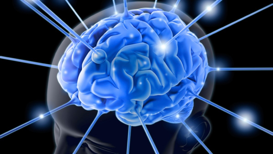Analizan investigadores de la UNACH en Tapachula genes involucrados en enfermedades neurodegenerativas