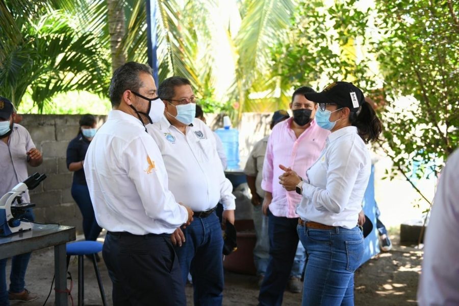 Trasciende labor académica y social de la Licenciatura en Ingeniero en Sistemas Costeros de la UNACH