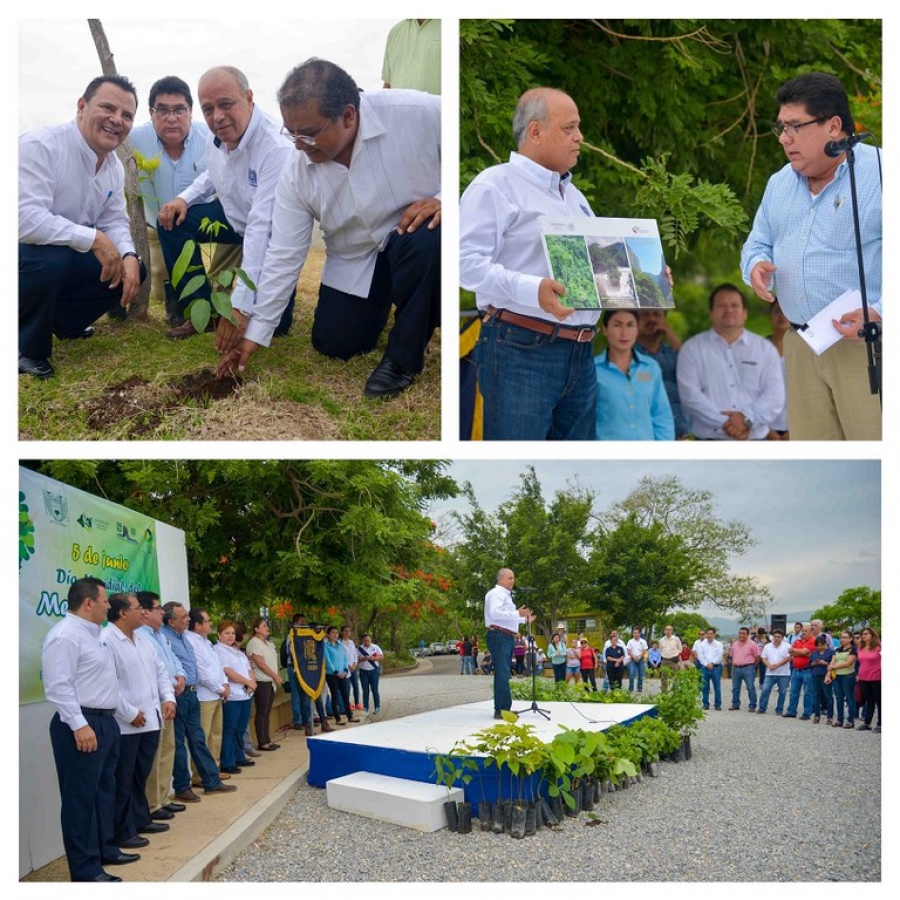 Siembran alrededor de mil árboles en diferentes Campus de la UNACH 