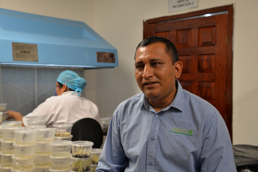 Egresado de la UNACH aplica técnica de cultivo en laboratorio para beneficio del sector agrícola