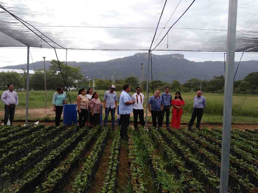 Entregan directivos de la UNACH equipamiento básico y mobiliario para beneficio de los estudiantes  de la Licenciatura en Caficultura