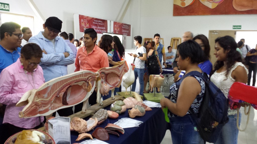 Convergen la academia y el arte en el 6º. Festival Cultural Universitario “Tuchtlan”