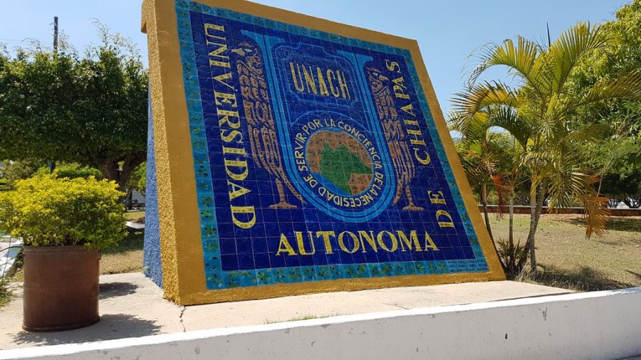 Destaca presencia  de la UNACH a nivel nacional e internacional en distintos rubros durante el 2020