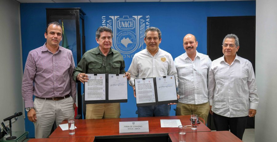 Las acciones serán coordinadas con el Ayuntamiento y la empresa Veolia