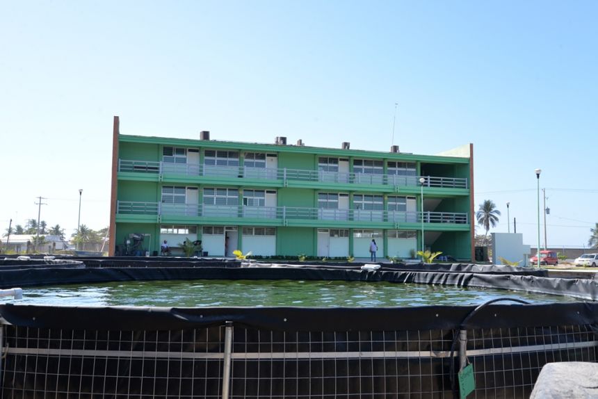 En el Campus IV La UNACH forma profesionales que procuran el cuidado de los ecosistemas acuático y terrestre