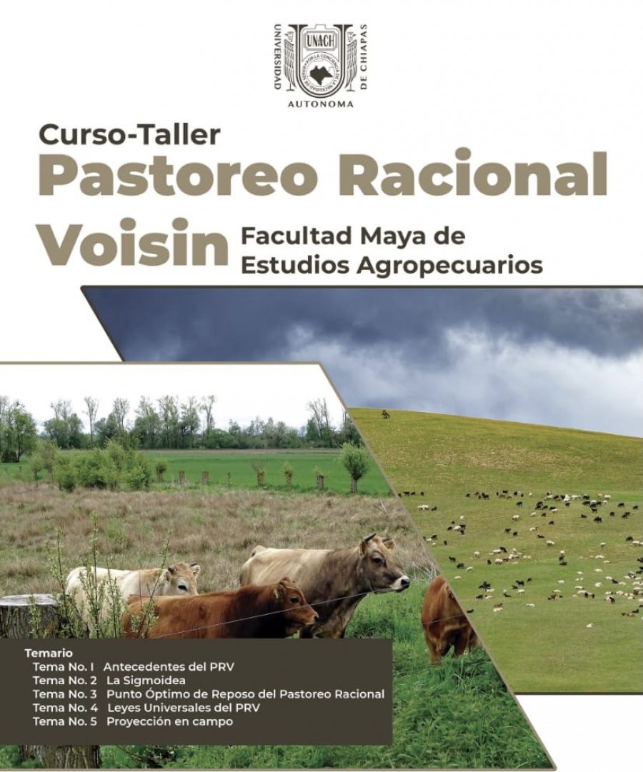 Impartirá UNACH curso taller  sobre el Sistema Pastoreo Racional Voisin
