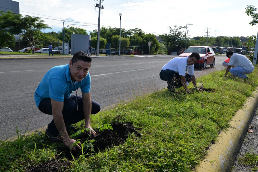 Realizan trabajadores del Campus IV de la UNACH acciones a favor del medio ambiente