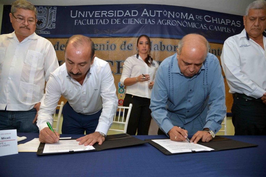 Acuerdan UNACH e INCAFECH desarrollar proyectos de innovación, investigación y capacitación