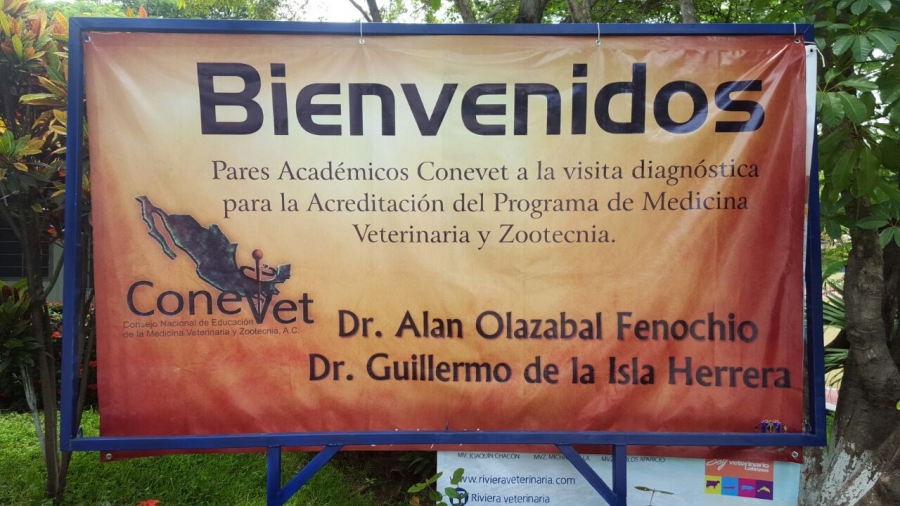En marcha proceso de acreditación de la Licenciatura en Medicina Veterinaria y Zootecnia de la UNACH