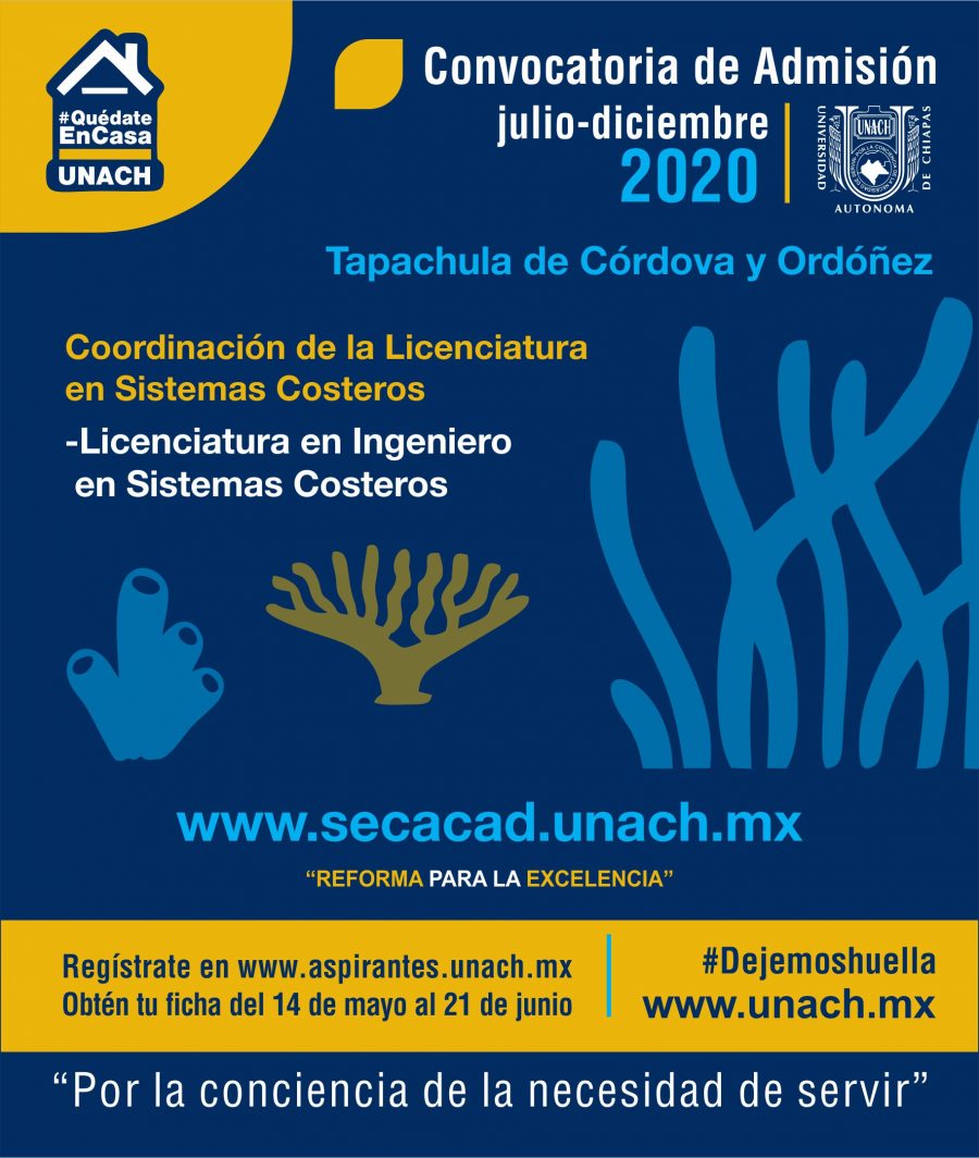 UNACH invita a cursar la licenciatura de Ingeniero en Sistemas Costeros