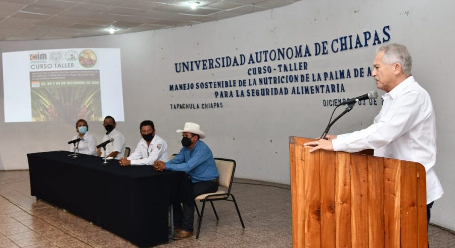 Realiza UNACH curso de manejo de la nutrición del cultivo y desarrollo sostenible de la palma de aceite