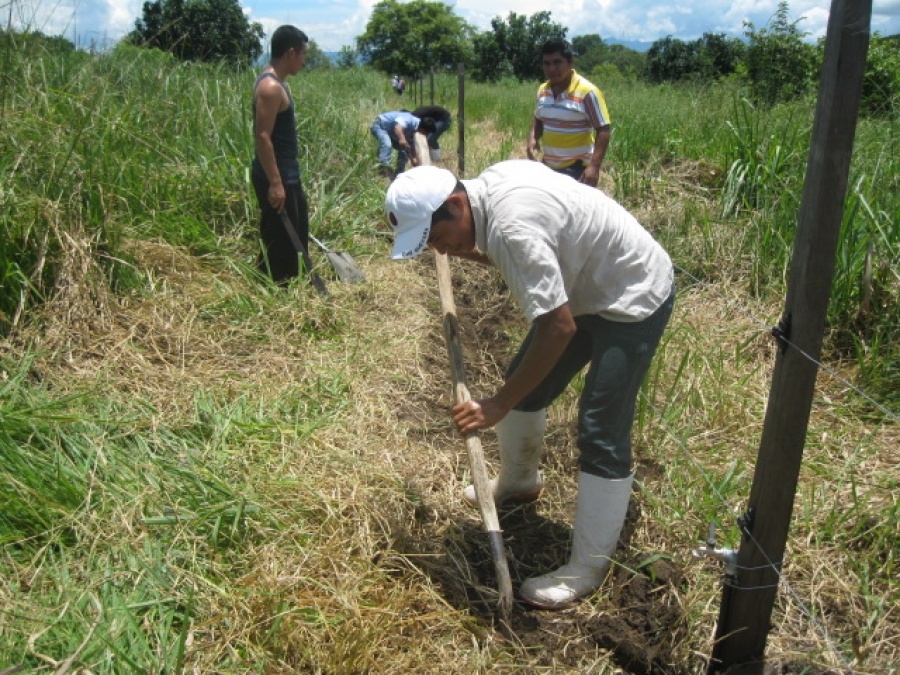 Promueve UNACH formación de especialistas en temas agropecuarios 