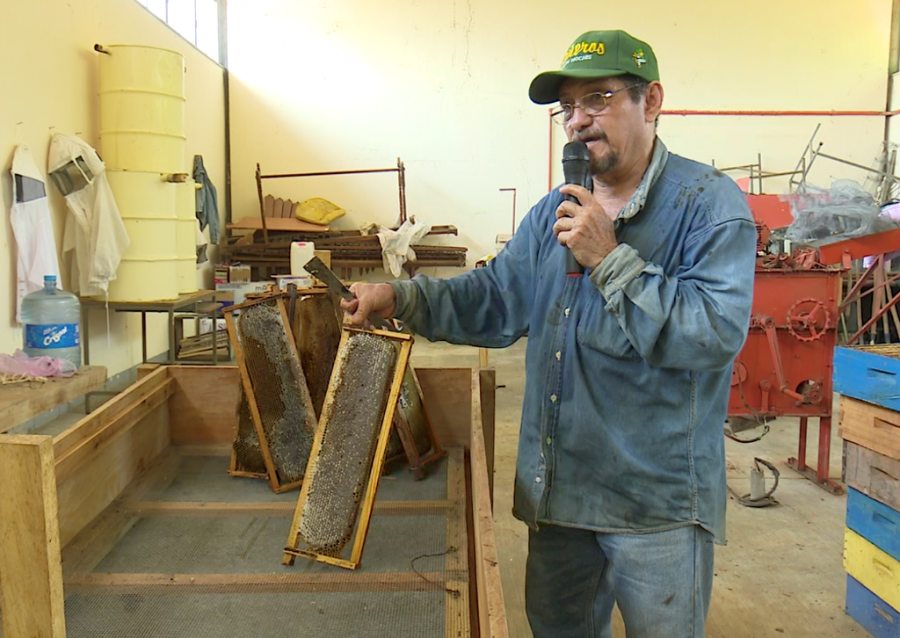 En el Campus IV Alumnos y docentes de la Facultad de Ciencias Agrícolas de la UNACH desarrollan proyecto apícola