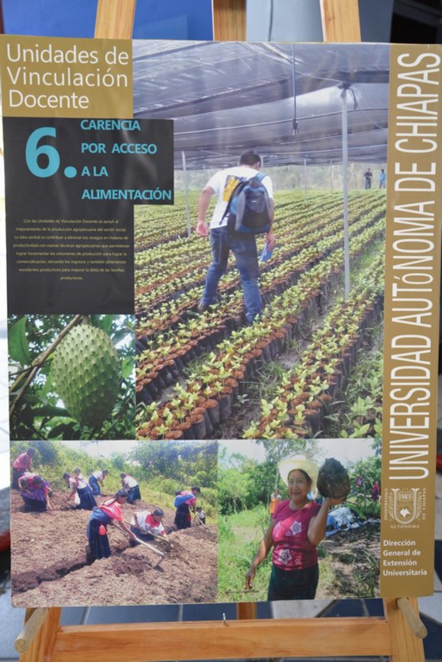 Presentan en la UNACH  el libro Unidades de Vinculación Docente 2014 