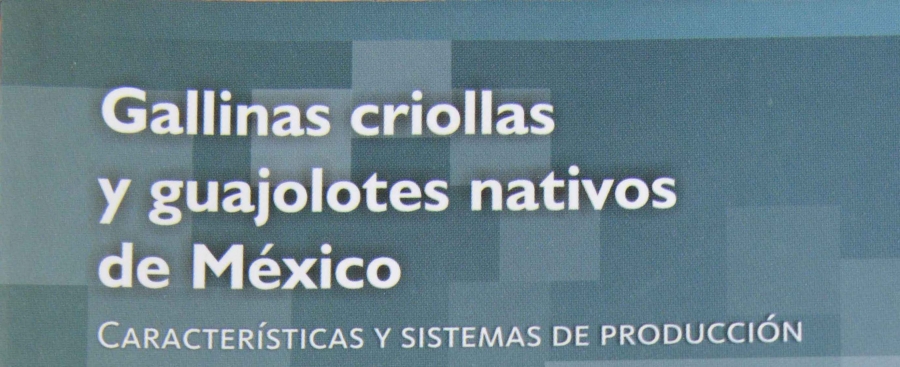 Estudian investigadores de la UNACH las características y sistemas de producción de las aves de traspatio