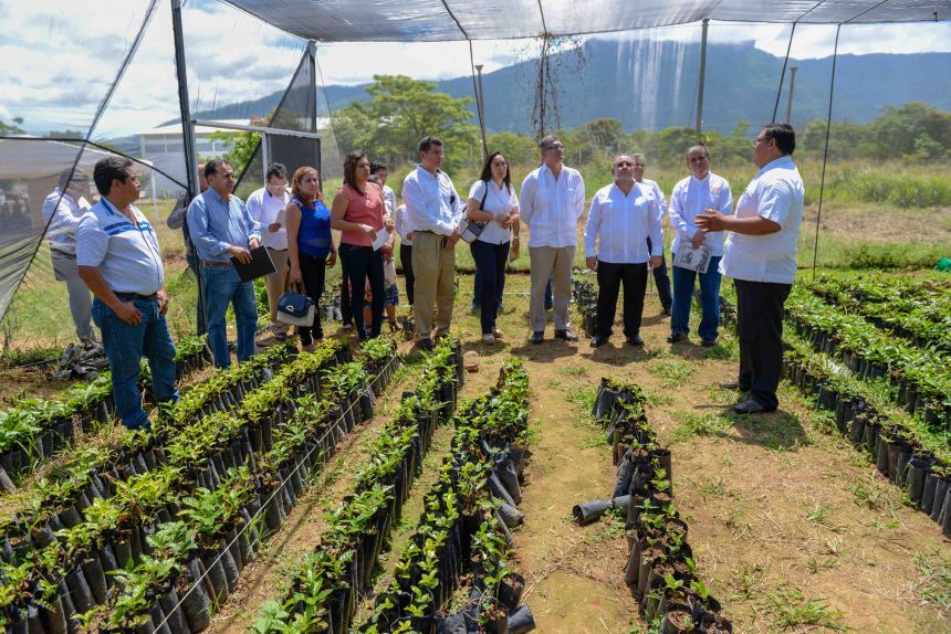 Establecen en la UNACH vivero semi – tecnificado en apoyo a los estudiantes de la Licenciatura en Caficultura