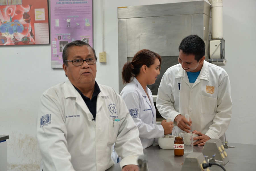 Desarrollan estudiantes de la UNACH fármacos a base de árbol de Melina